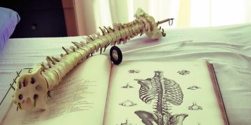 Evidence-Based Chiropractic